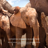 Cheek Shades - Elephant (Smitten) 珍珠光采胭脂 - Smitten 色調