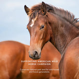Cheek Shades - Horse (Joy) 珍珠光采胭脂 - Joy 色調